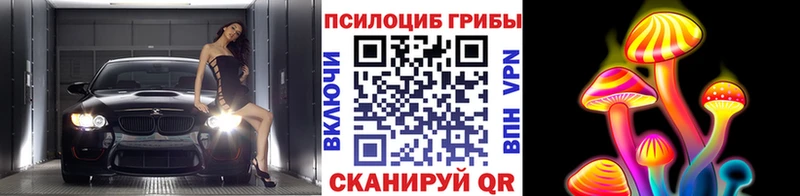 kraken как зайти  Коркино  Галлюциногенные грибы GOLDEN TEACHER  что такое наркотик 