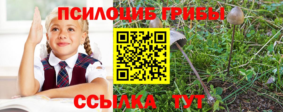 Меф МЯУ МЯУ кристаллы  Коркино  Конопля  Кокаин  Гашиш  ГАШ  Вход с VPN  Меф МЯУ МЯУ 